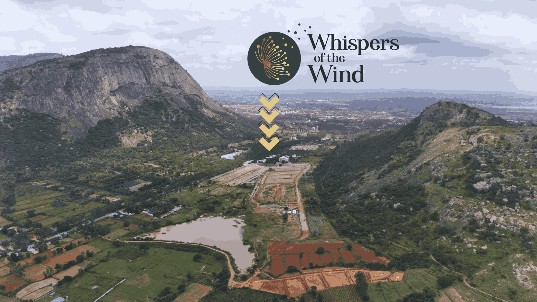 Whispers of the Wind by DivyaSree